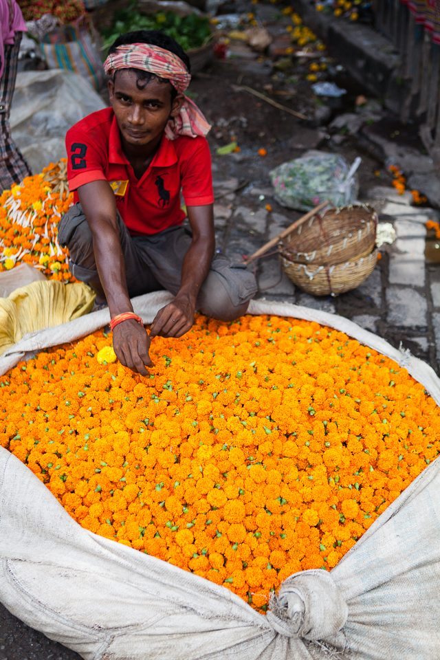 Flower Salesman