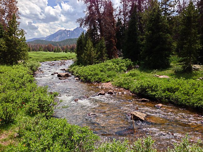 East Fork Smith Fork river