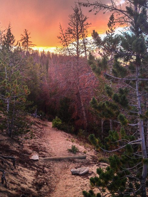 Pine Creek Canyon Trail