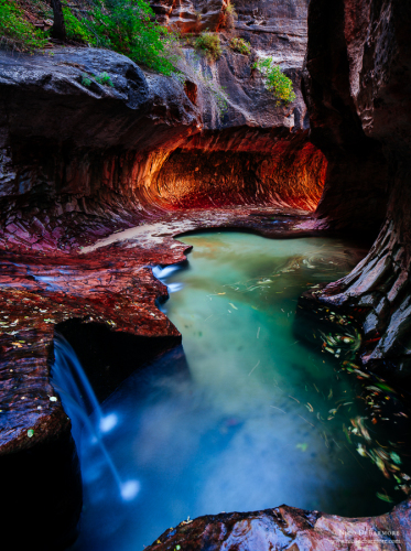 Zion Subway Photography Guide