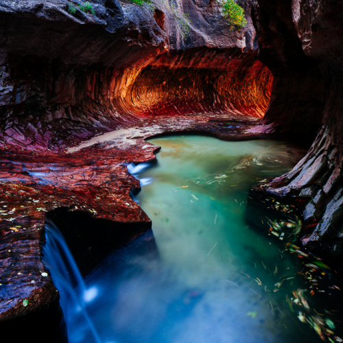 Zion Subway Photography Guide