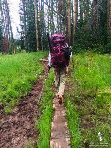 Christmas Meadows trail