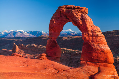 Arches National Park