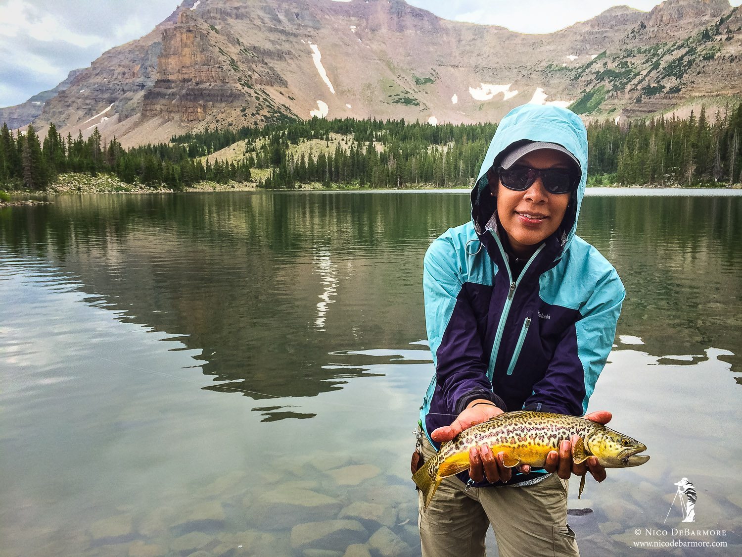 Tiger Trout