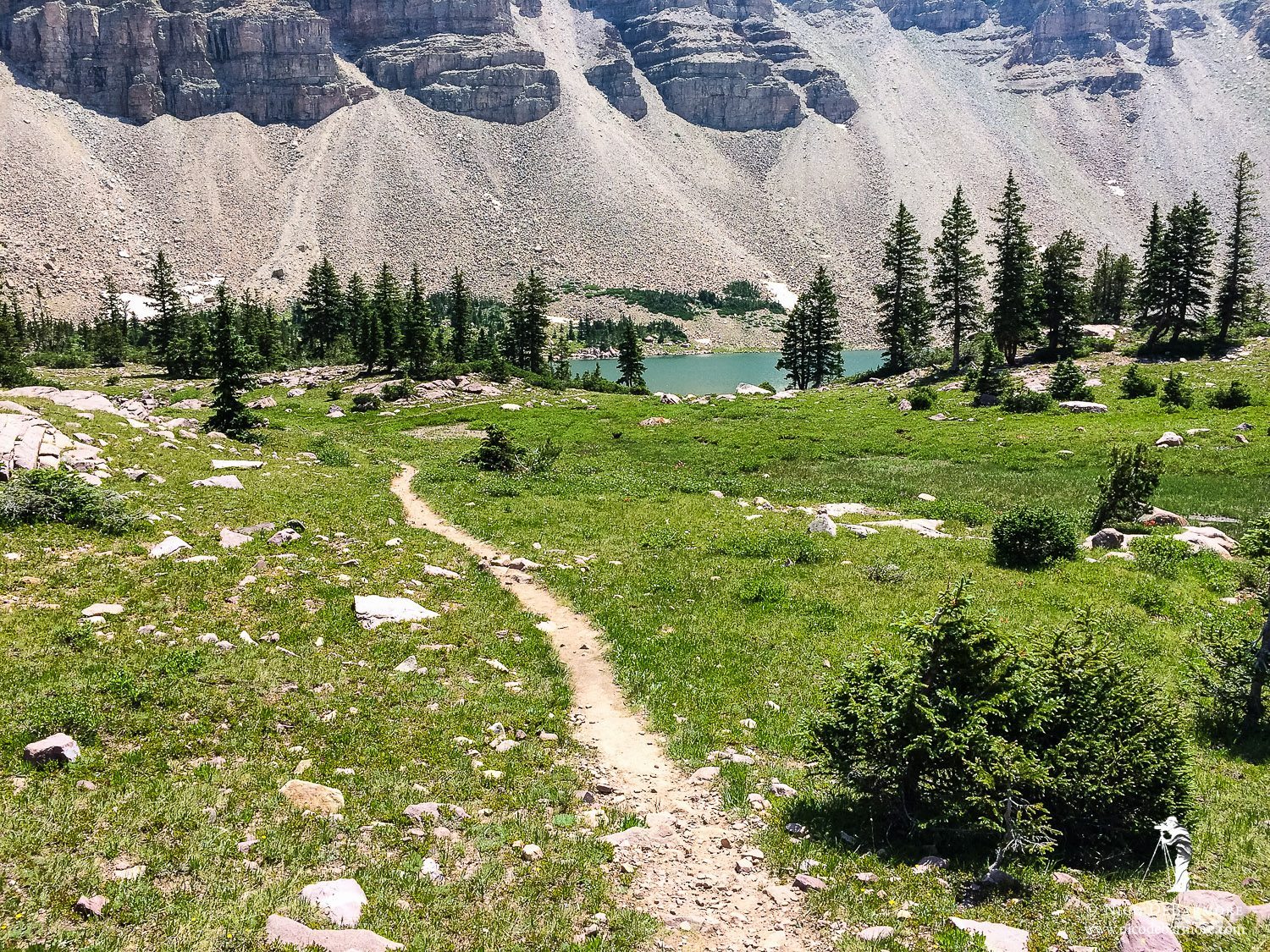 Trail to Amethyst Lake