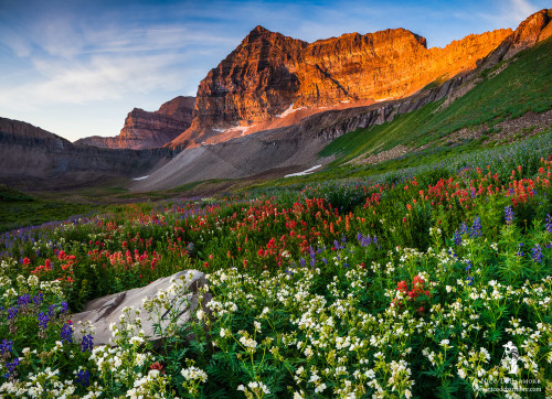 Timpanogos  - Wasatch Front