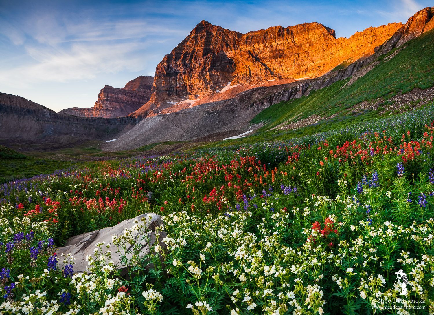 mount timpanogos summer