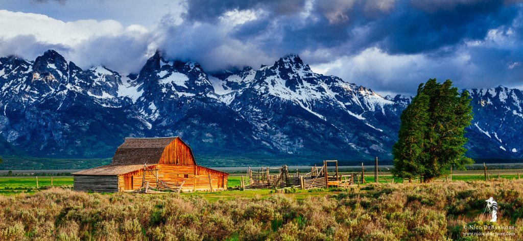 Dwarfed by the Tetons