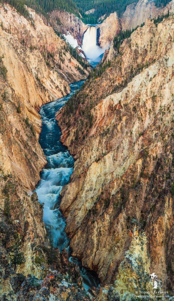 Lower Yellowstone Falls Canyon