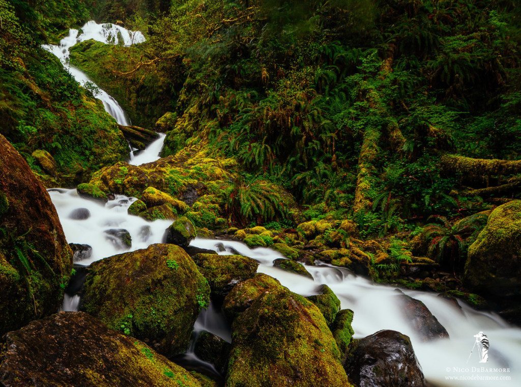 Quinault Cascades