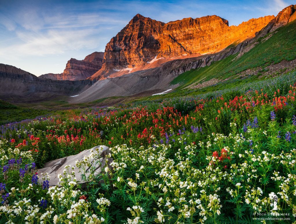 Timpanogos Alight