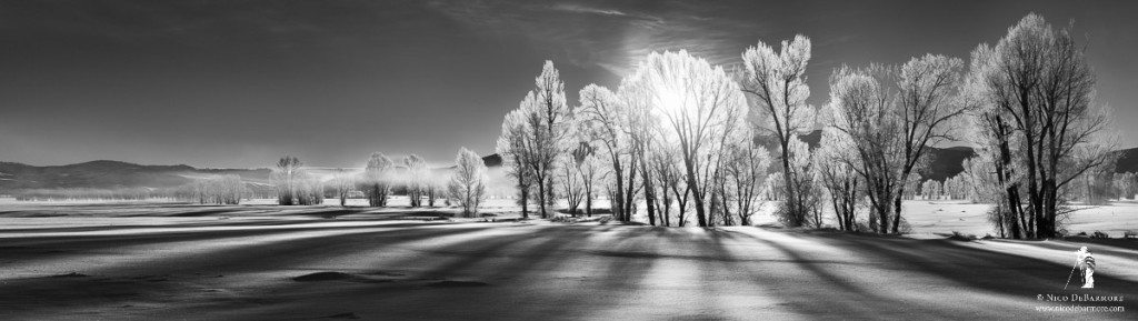 Morning Shadows in Winter B&W