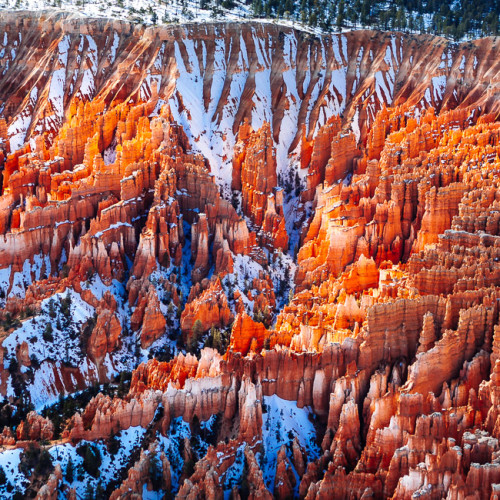 Bryce Canyon Aerial Photography