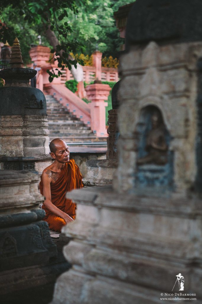 Monk in the Stupas