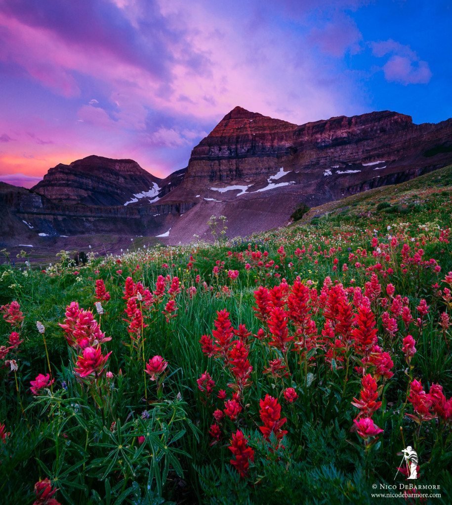 Timpanogos Sunset